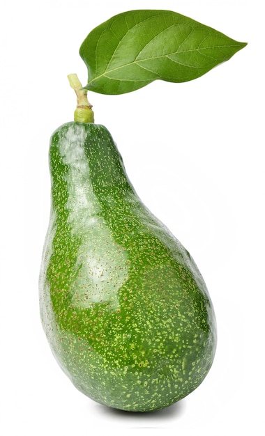 Avocado fruit geïsoleerd op witte ruimte