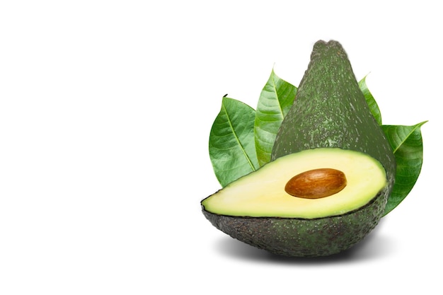 Avocado isolated on white background