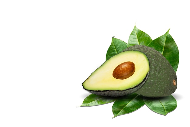 Avocado isolato su sfondo bianco