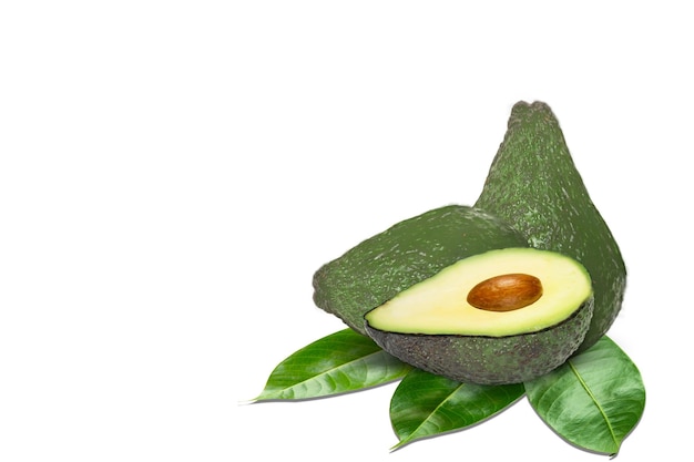 Avocado isolato su sfondo bianco