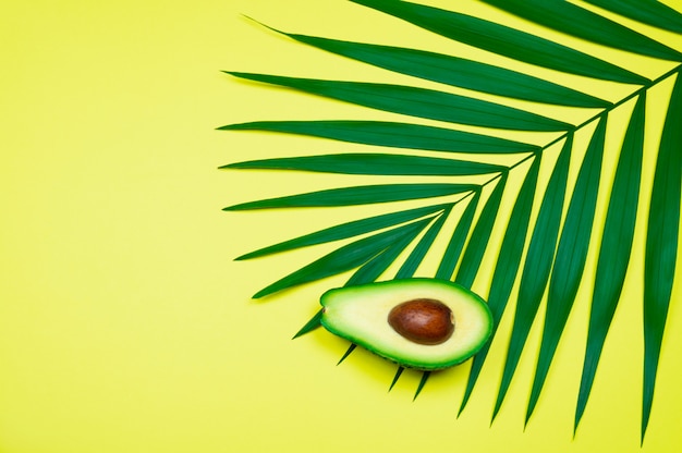 Avocado op palmblad op gele achtergrond.