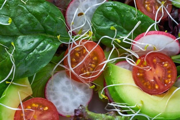 Avocado salad with sprouts tomatoes spinach