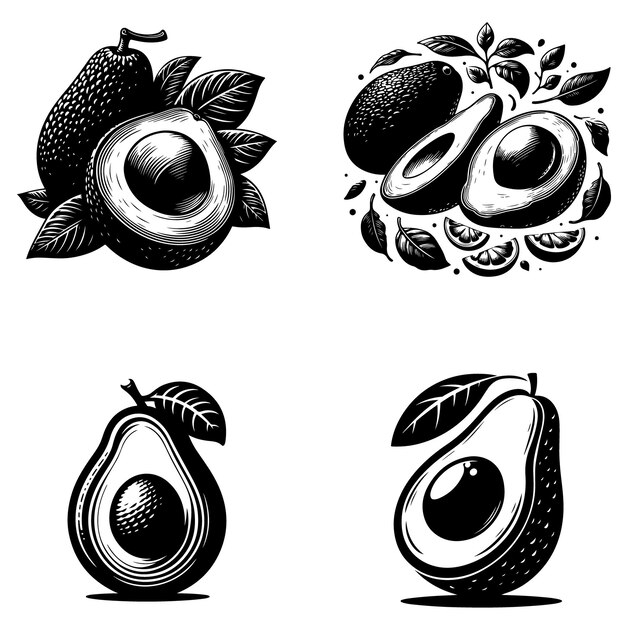 avocado silhouette vector download