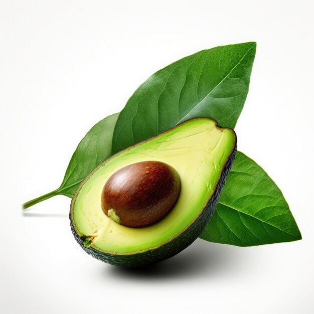 Avocado