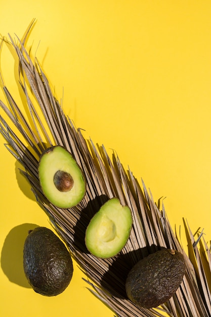 Avocados cut on yellow isolated