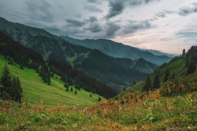 Avond berglandschap in butakovskoe kloof almaty, kazachstan, zailiysky alatau range, forest pass bij bewolkt weer.