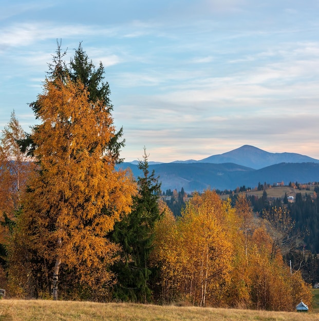 Avond herfst Karpaten Oekraïne