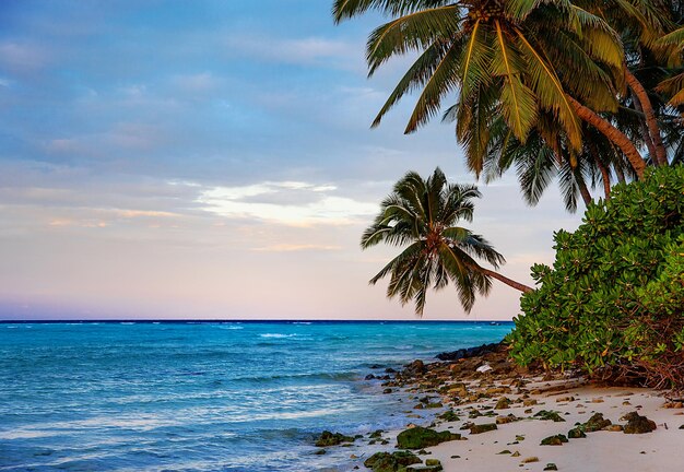 Avond Malediven eiland zonsondergang strand en palmbomen uitzicht