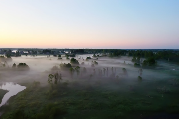 avond mist landschap bos rivier, uitzicht ochtend bos mooie achtergrond