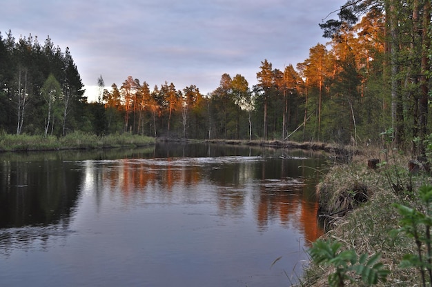 Avond op de bos PRA rivier