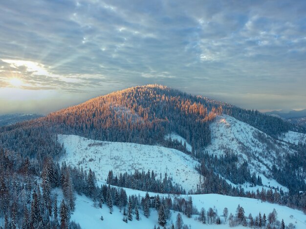 Avond winter landschap van de Oekraïense Karpaten