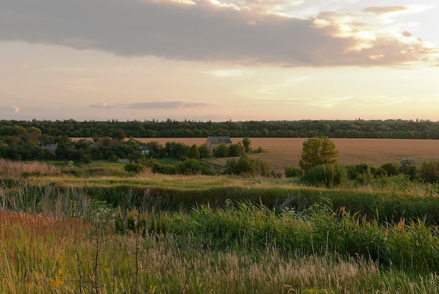 Avond zomer natuur veldhuis Oekraïne