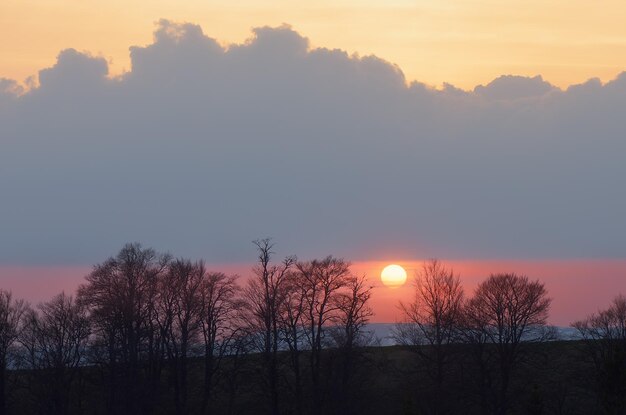 Avondlandschap met de ondergaande zon achter de bomen. Zonsondergang in de bergen