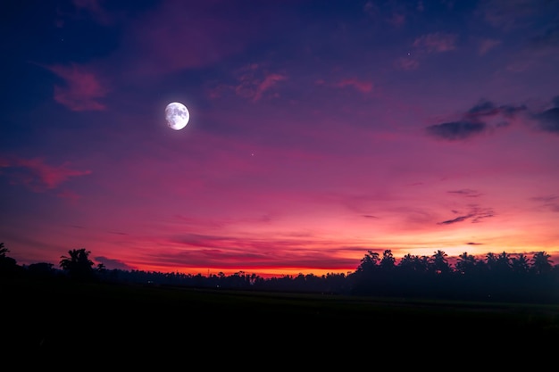 Avondlucht natuur achtergrond met maan