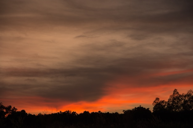 Avondlucht silhouet