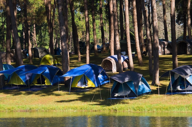 Foto avonturen kamperen en tent onder het dennenbos in de buurt van water buiten in de ochtend bij pangung pine