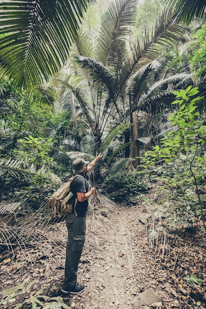 Avonturier met verrekijker voor vogels kijken en wandelpad in het bos en de grot. Outdoor activiteit en recreatie op zomervakantie.