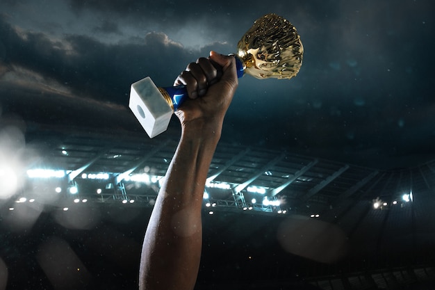 Photo award of victory, male hands tightening the cup of winners against cloudy dark sky