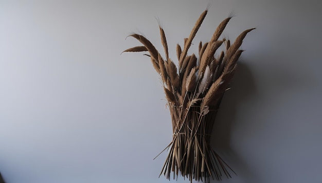 AweInspiring Wall Art Dry Spikelets and Pampas Grass Shadows