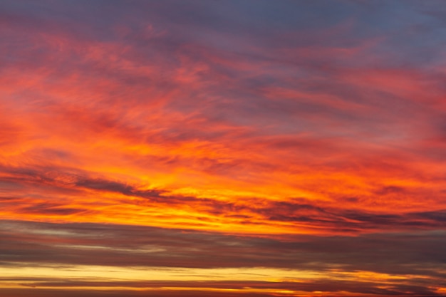 素晴らしい、信じられないほどの美しい赤、ピンクの鮮やかな夕日の風景。夕焼け空のテクスチャと表面。美容自然