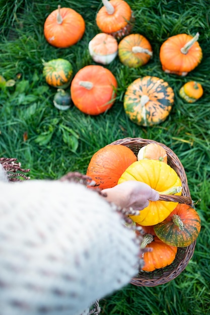 Awoman met herfst decoratieve pompoenen Thanksgiving of Halloween vakantie oogst concept