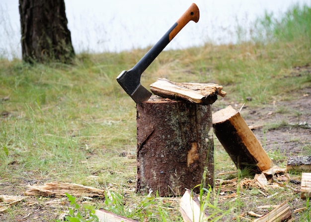 Photo an ax at the base of the tree. deforestation, ecology.