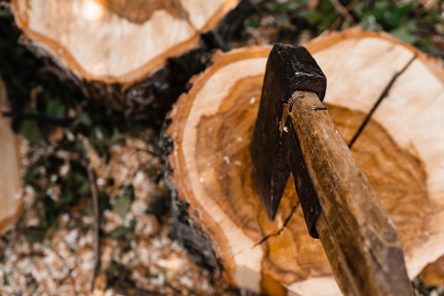 Ax and firewood in the yard ax in the stump pile of firewood\
and tree stump firewood for the winter