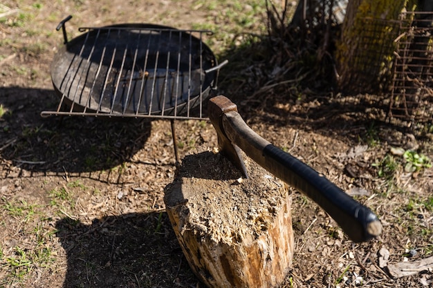 ax, frying meat, barbecue. Rest in the forest.