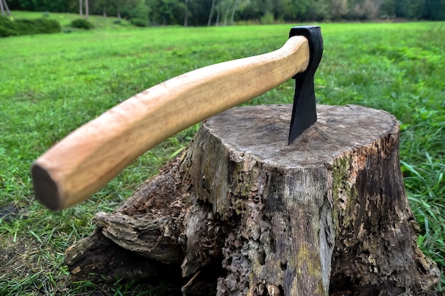 The ax is stuck in a dry stump against the backdrop of nature\
human and nature