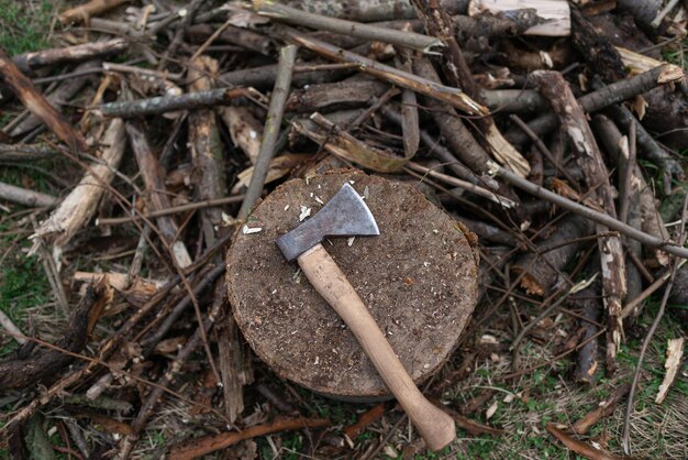 Ax on a stump near chopped firewood Top view