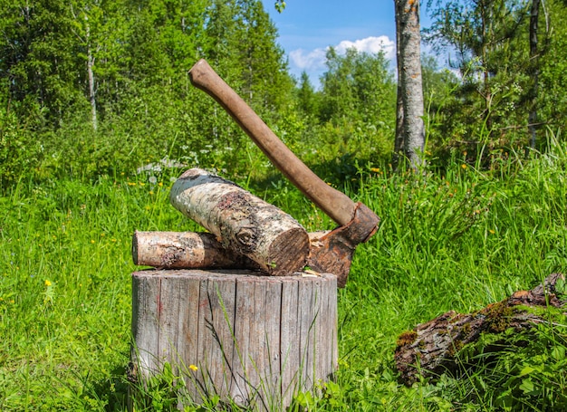 An axe at close range against a background of blurred trees