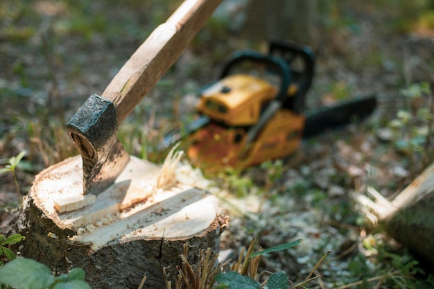 axe in the cutted tree and a chain saw near