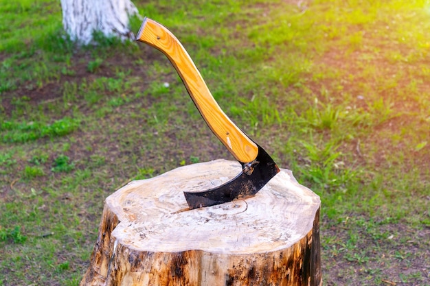 木に突き刺さった斧、木の切り株