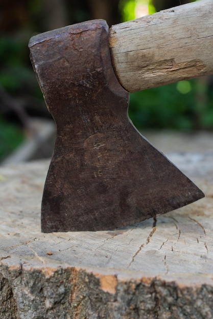 Axe in the stump woodworking tools chopping wood