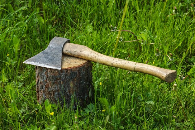 Axe on the stump Work logger tool Firewood for the winter