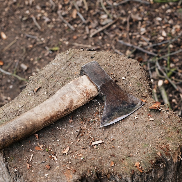 Axe on a tree stump