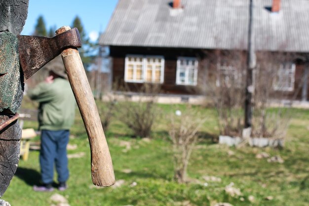 Axe in wood outdoor