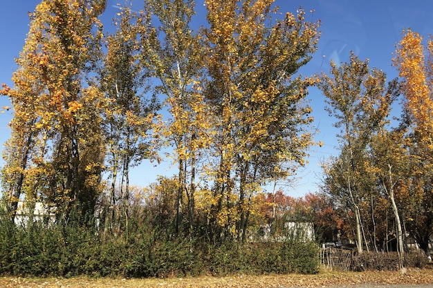 Aydarkul prachtige natuur schone lucht