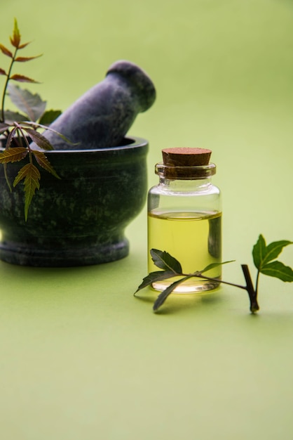 Erbe ayurvediche anti batteriche neem o lilla o azadirachta indica con olio in bottiglia con malta, isolate su sfondo semplice, messa a fuoco selettiva