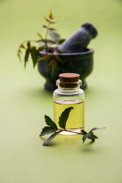 Ayurvedic anti bacterial Herbs Neem or Lilac or Azadirachta indica with Oil in bottle with mortar, isolated over plain background, selective focus