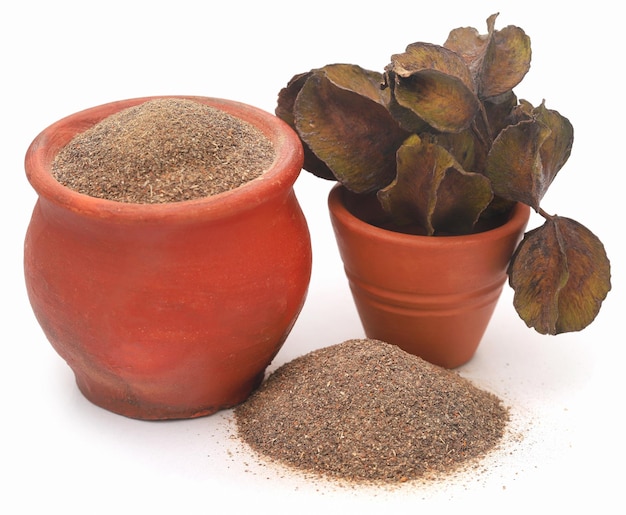 Ayurvedic arjun with ground powder