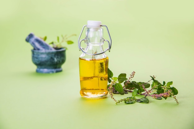 Ayurvedic Tulsi oil, Queen of herb extract in glass bottle with fresh green holy basil branches and mortar with Pestle. Isolated over colourful background. selective focus