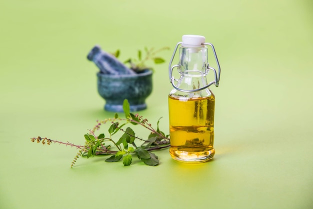 Ayurvedic Tulsi oil, Queen of herb extract in glass bottle with fresh green holy basil branches and mortar with Pestle. Isolated over colourful background. selective focus