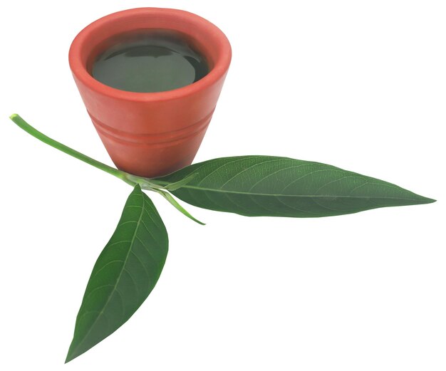 Photo ayurvedic vasica leaves with extract in a clay pottery