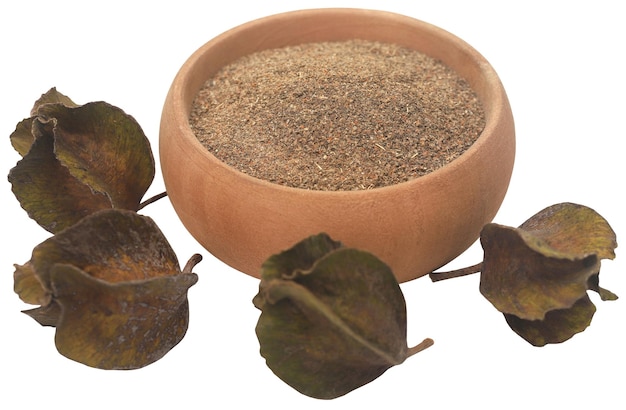 Ayurvedisch arjunfruit met gemalen poeder