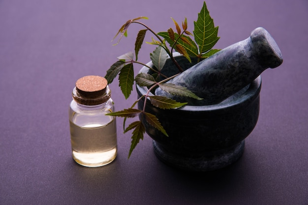 Ayurvedische antibacteriële kruiden Neem of Lila of Azadirachta indica met olie in fles met mortel, geïsoleerd op effen achtergrond, selectieve focus