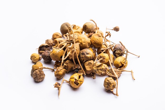Ayurvedische Choti Kateli, ook bekend als Kantkari of Solanum Surattense, gedroogd en in poedervorm