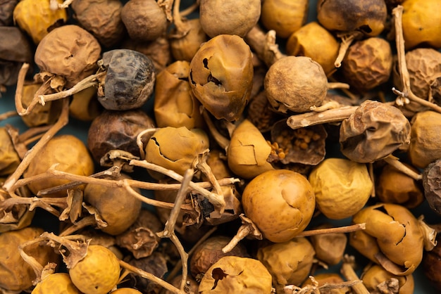 Ayurvedische Choti Kateli ook bekend als Kantkari of Solanum Surattense gedroogd en poedervorm