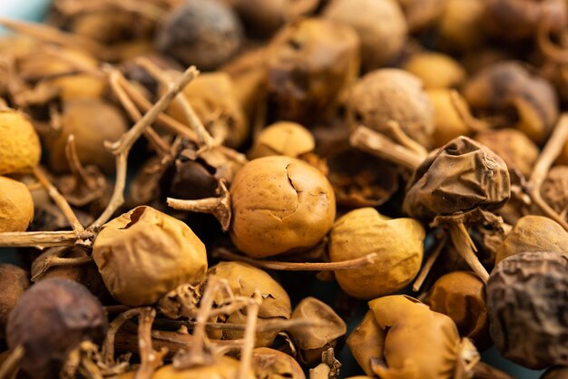 Ayurvedische Choti Kateli ook bekend als Kantkari of Solanum Surattense gedroogd en poedervorm