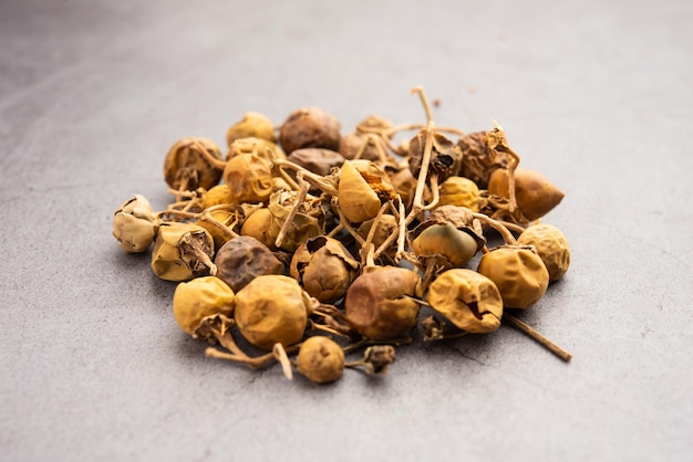 Ayurvedische Choti Kateli ook bekend als Kantkari of Solanum Surattense gedroogd en poedervorm